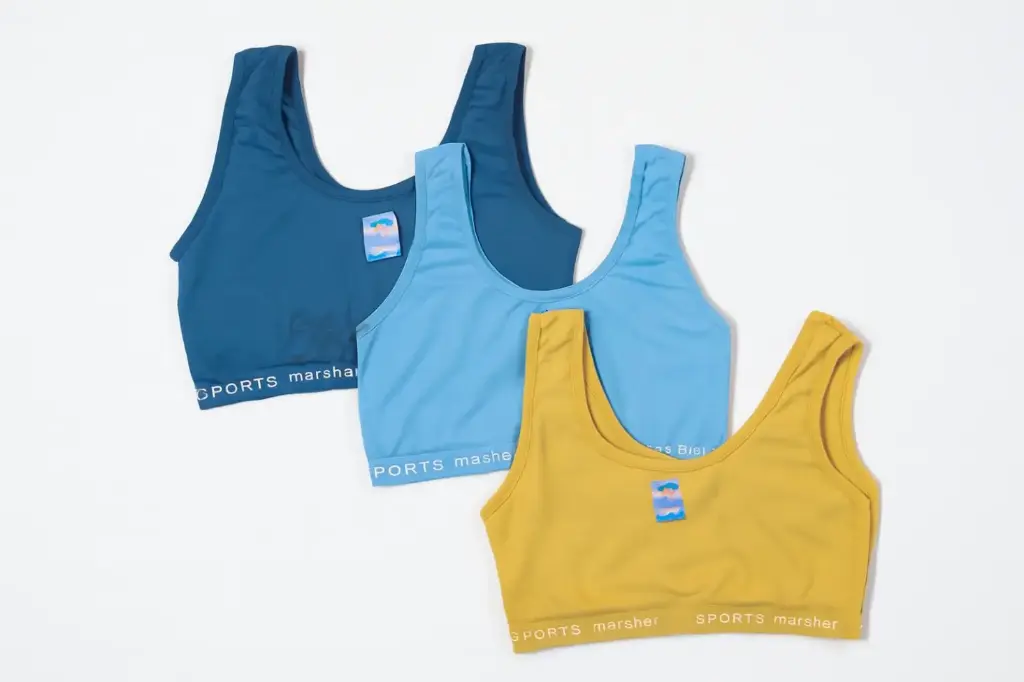 change background t21o.webp