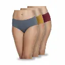 Panty Set for Women Cotton Hipster Underwear Panty Pack of 3 Soft Fabric Seamless Ice Silk Panties for Women - 100% Super Combed Full Coverage (Free Size)
