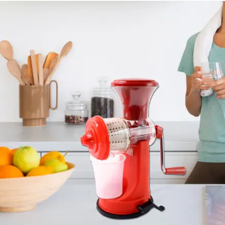 Mini Fruit and Vegetable Juicer