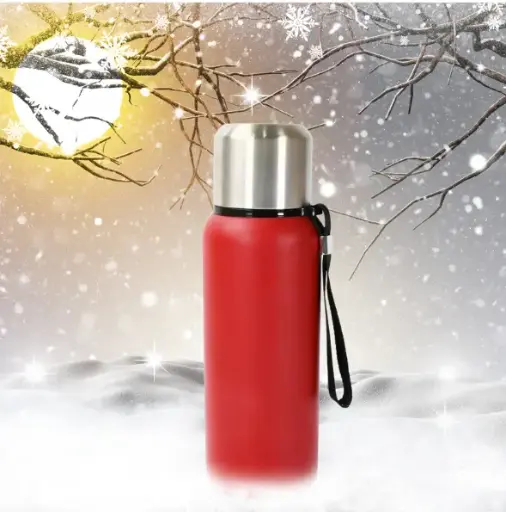 Stainless Steel Water Bottle, Fridge Water Bottle, Stainless Steel Water Bottle Leak Proof, Rust Proof, Cold & Hot Vaccume insulated bottle steel Bottle| Leak Proof (Approx. 600ML)
